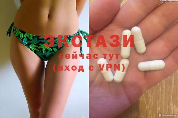 ECSTASY Алзамай