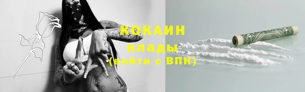 ECSTASY Алзамай
