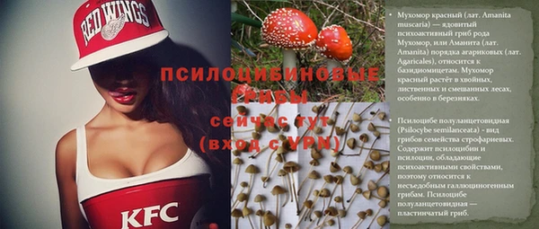 метадон Алексин