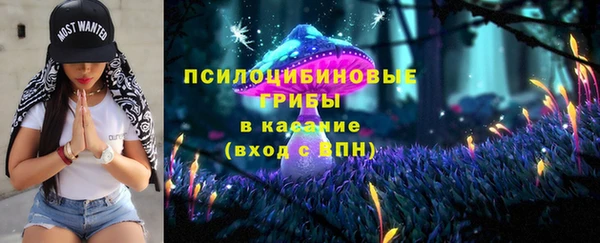 метадон Алексин