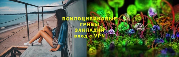 метадон Алексин