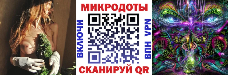 Псилоцибиновые грибы MAGIC MUSHROOMS  kraken как войти  Болхов 